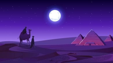 118Z 2012.w026.n002.15B.p1.15