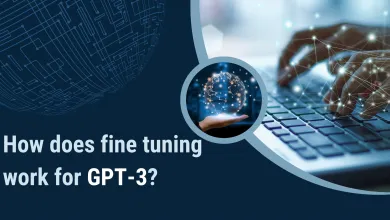 How does fine tuning work for GPT-3? 2 gpt3model