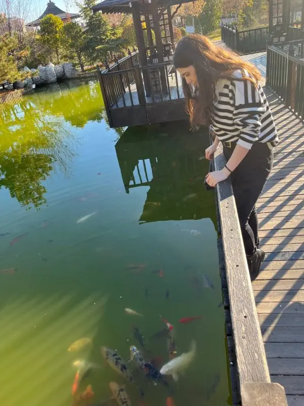 kyoto japon parkı kyoto japon parkı