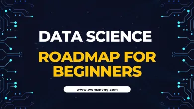 Data Science Roadmap For Beginners in 2025 1 datascienceroadmap