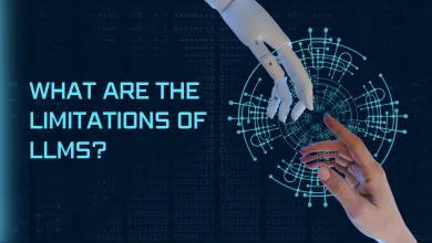 What are the limitations of LLMs? 13 LLMS