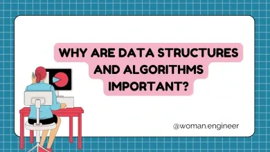 What are data structures and algorithms and how important is it? 1 Screen Shot 2024 11 28 at 00.12.26