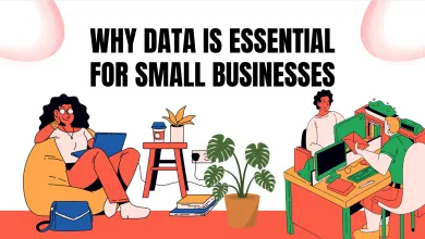 Why Data is Essential for Small Businesses 10 Screen Shot 2025 03 08 at 00.14.29