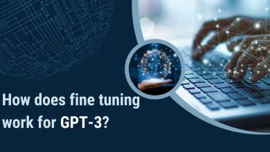 How does fine tuning work for GPT-3? 16 gpt3model
