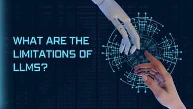 What are the limitations of LLMs? 24 LLMS